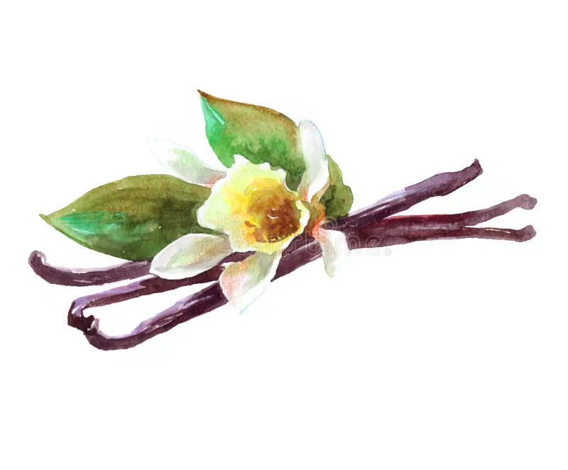 Placeholder Picture